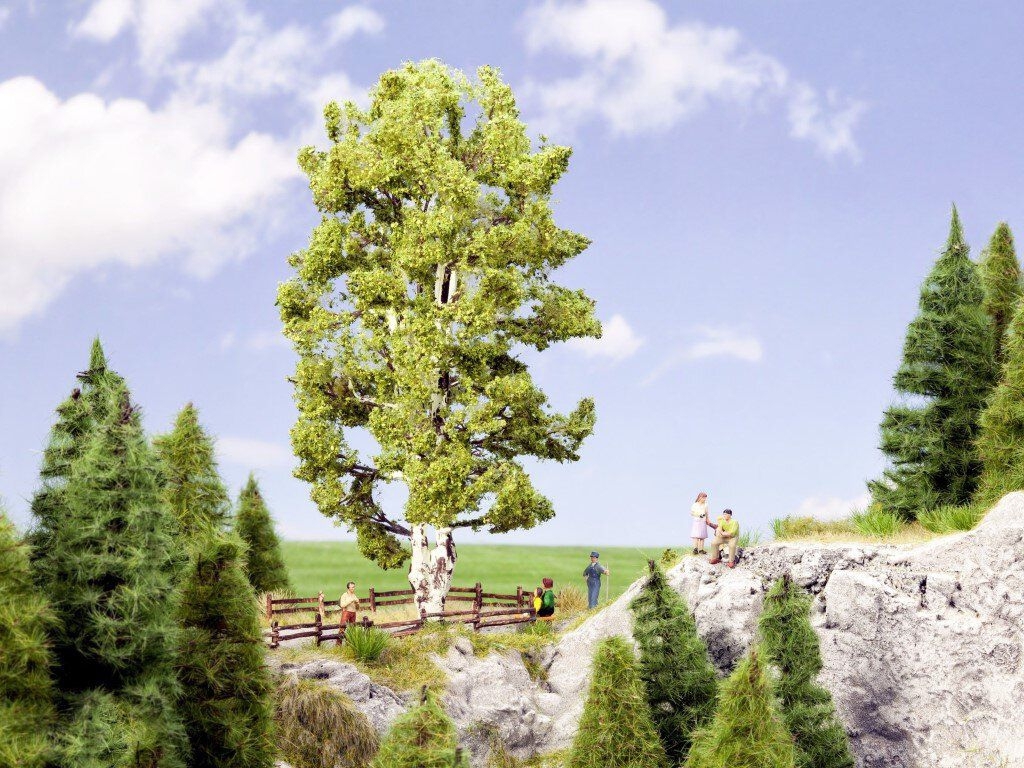 NOCH 21641 - Doppelstämmige Birke